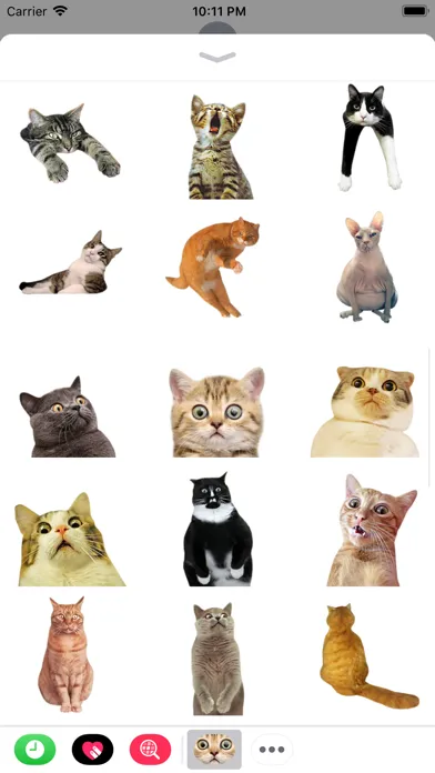 Ảnh chụp màn hình của Funny Cate