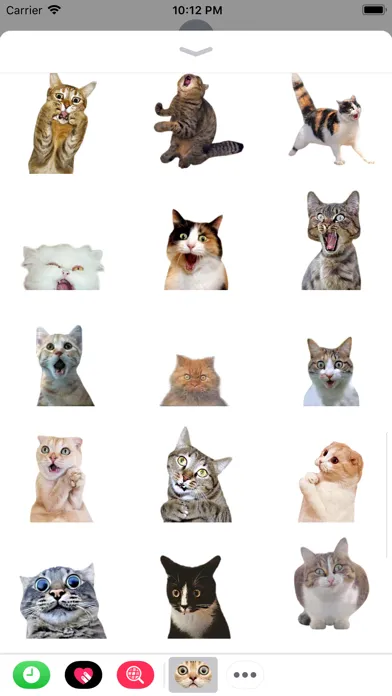Ảnh chụp màn hình của Funny Cate