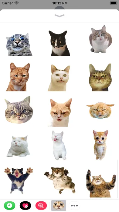Ảnh chụp màn hình của Funny Cate