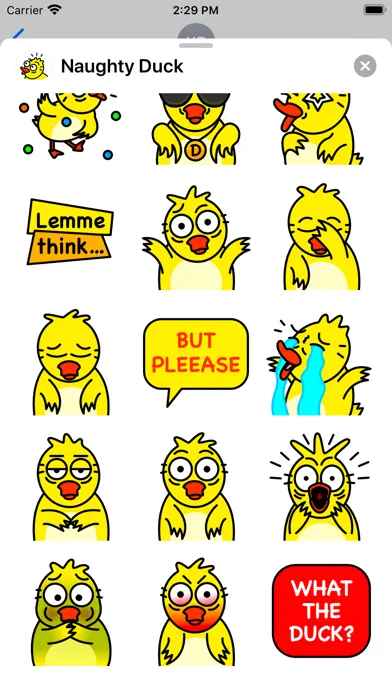 تصاویر Naughty Duck