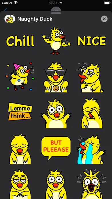 تصاویر Naughty Duck