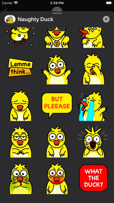 تصاویر Naughty Duck