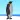 Flying penguin