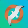Feed The Seagulls