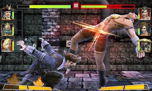 Champion Fight 3D应用截图