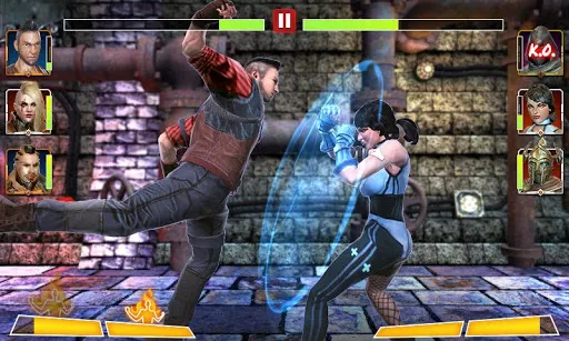 Champion Fight 3D应用截图