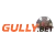 Gully Bet Lottery