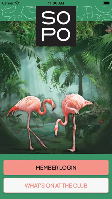 SOPO سکرین شاٹس