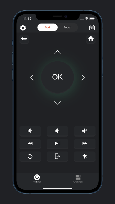 Roku Remote TV - Rokie Remote应用截图