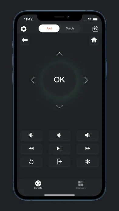 Roku Remote TV - Rokie Remote स्क्रीनशॉट
