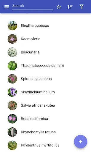 Medicinal herbs スクリーンショット