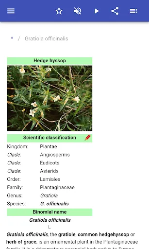 Medicinal herbs スクリーンショット
