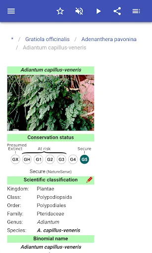 Medicinal herbs スクリーンショット