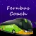 Fernbus Coach Simulator