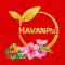 HavanPlus