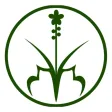 Hương Sạch Tân Nguyên