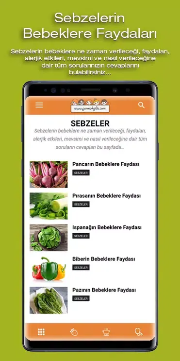 Capturas de pantalla de Parmakgida.com