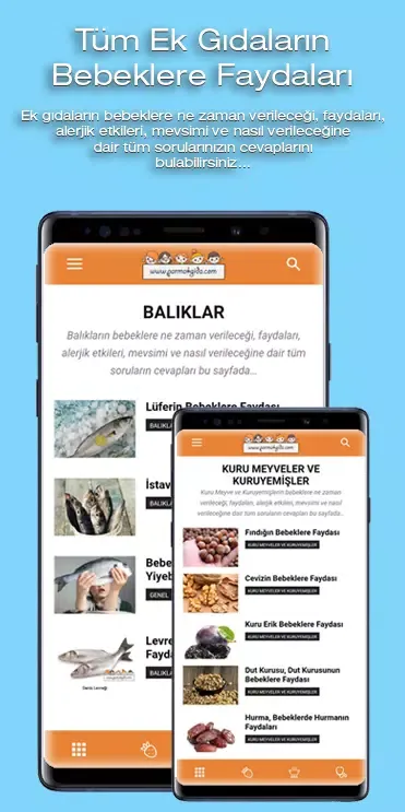 Capturas de pantalla de Parmakgida.com