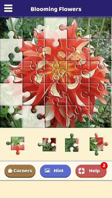Capturas de tela do Blooming Flowers Puzzle