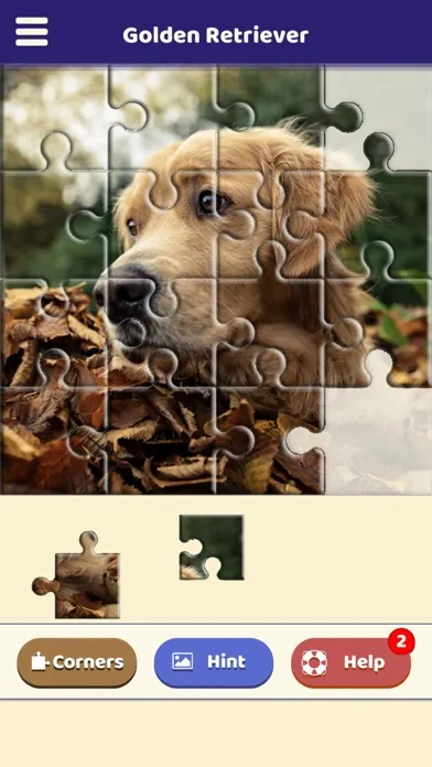 Golden Retriever Puzzle स्क्रीनशॉट