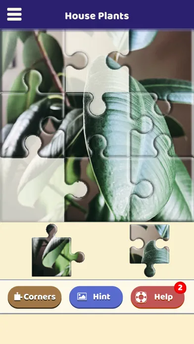 House Plants Puzzle 스크린샷