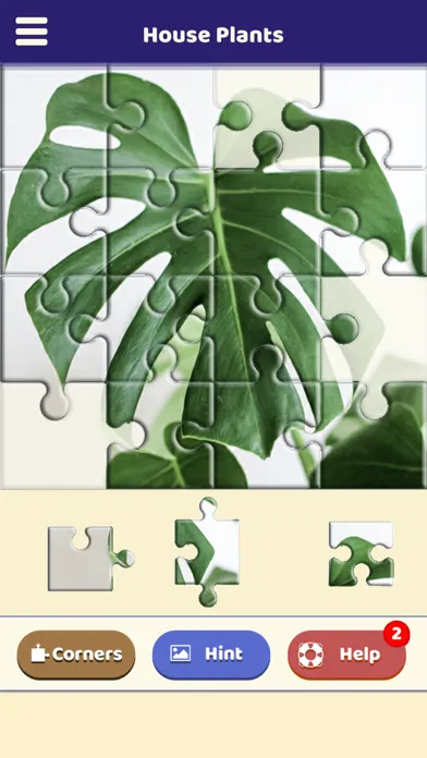 House Plants Puzzle 스크린샷