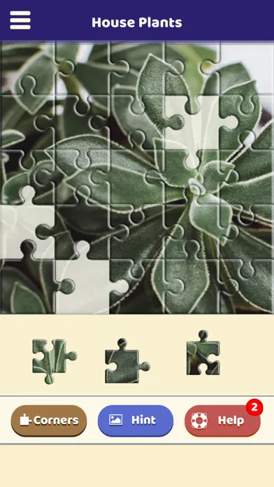 House Plants Puzzle 스크린샷