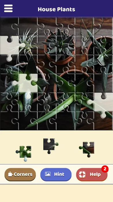 House Plants Puzzle 스크린샷