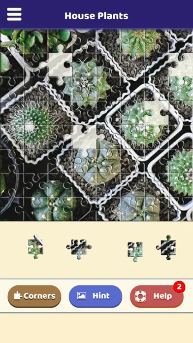 House Plants Puzzle 스크린샷