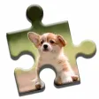 Cute Puppies Jigsaw Puzzle Cute Puppies Jigsaw Puzzle