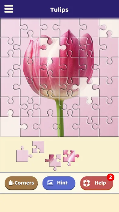 Tulip Love Puzzle Screenshots