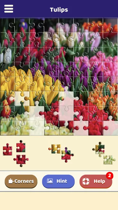 Tulip Love Puzzle Screenshots
