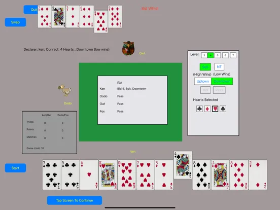 Tangkapan skrin Master Whist iPad 