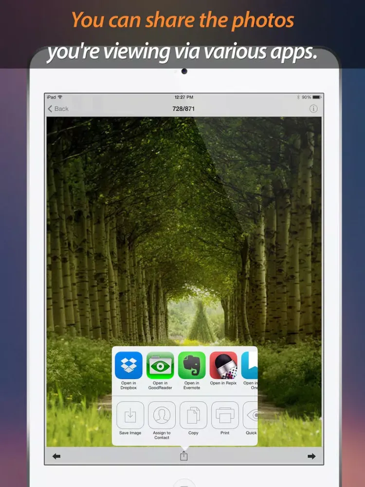 Smart Photo Organizer iPad  سکرین شاٹس