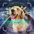 Dog Scanner - Puppy ID Dog Scanner - Puppy ID