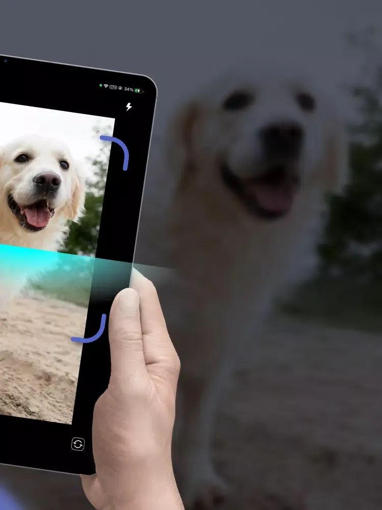 Capturas de tela do Dog Scanner - Puppy ID iPad 