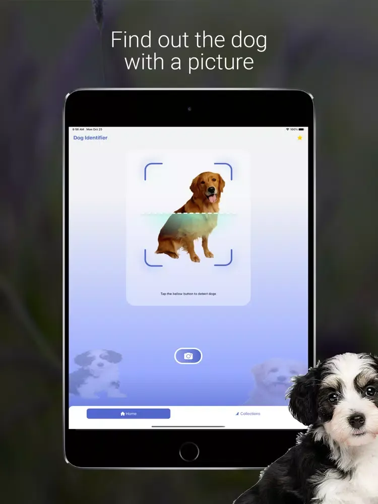 Capturas de tela do Dog Scanner - Puppy ID iPad 