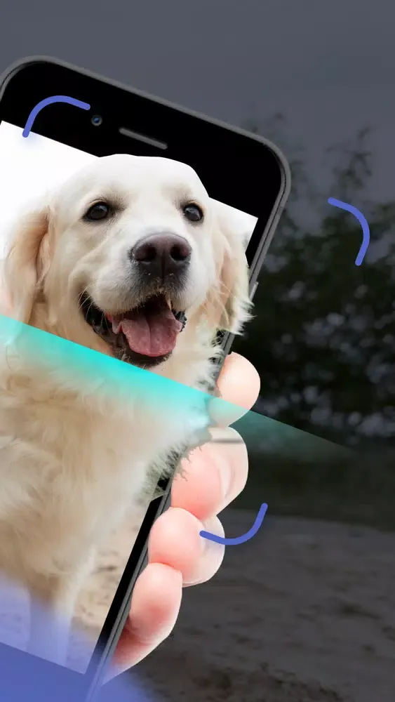 Capturas de tela do Dog Scanner - Puppy ID