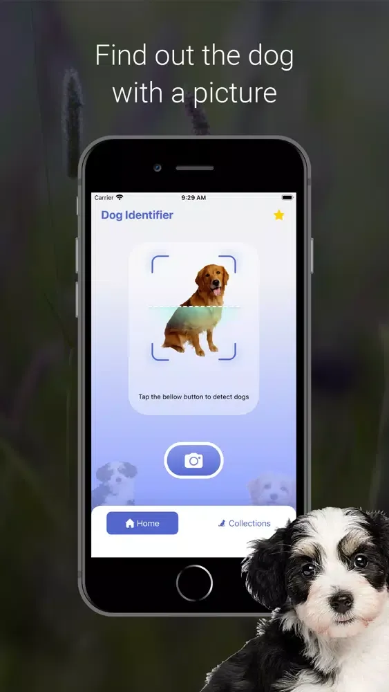 Capturas de tela do Dog Scanner - Puppy ID
