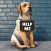 Dog Life: Animal Rescue Games