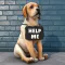 Dog Life: Animal Rescue Games