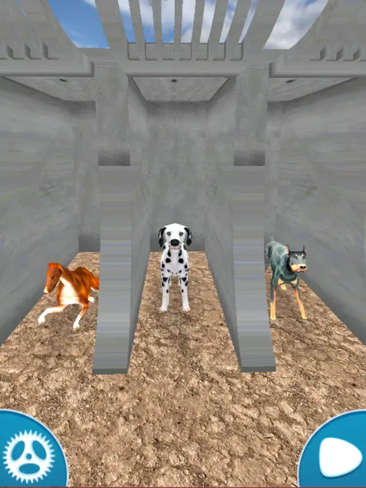 ภาพหน้าจอของ Dog Racing Simulator 2020 iPad 