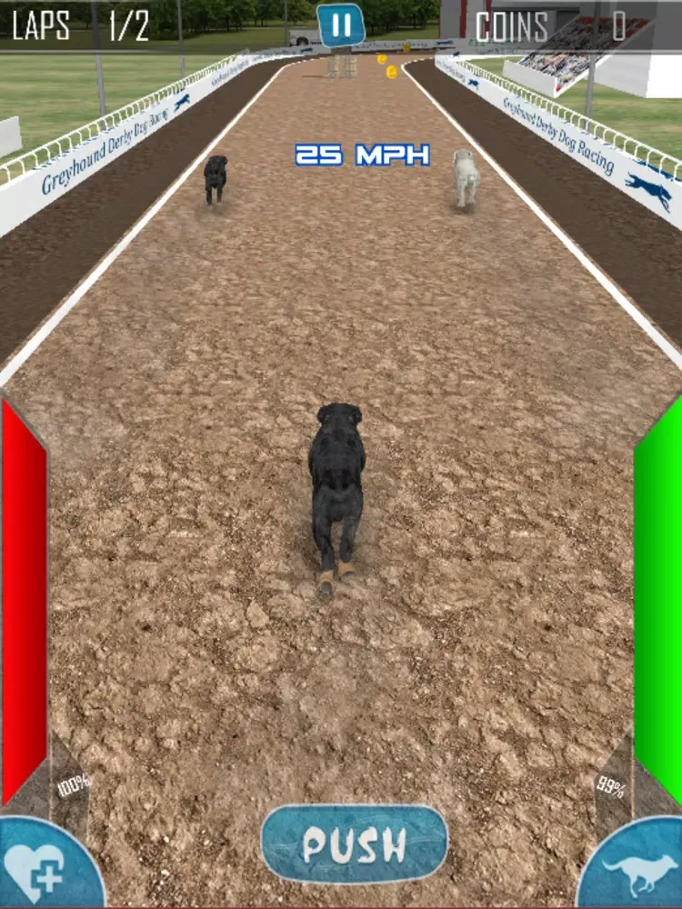 ภาพหน้าจอของ Dog Racing Simulator 2020 iPad 