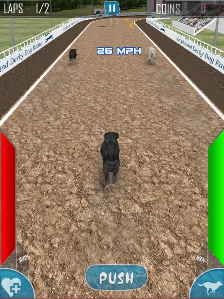 ภาพหน้าจอของ Dog Racing Simulator 2020 iPad 