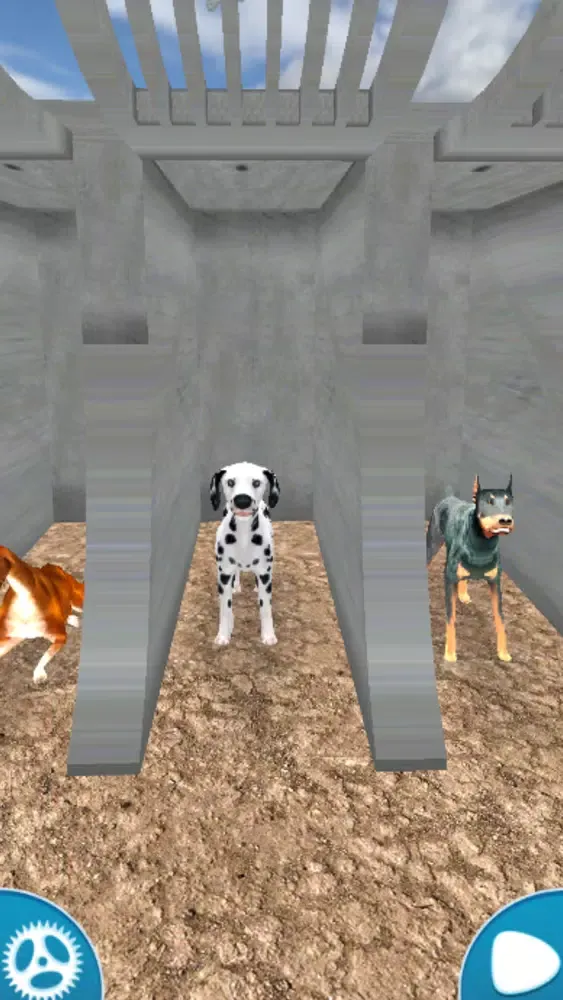ภาพหน้าจอของ Dog Racing Simulator 2020