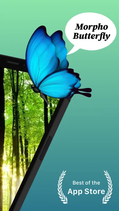 Bug identifier・Insect Scanner Ekran Görüntüleri