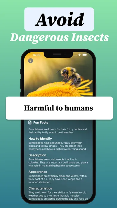 Bug identifier・Insect Scanner Ekran Görüntüleri