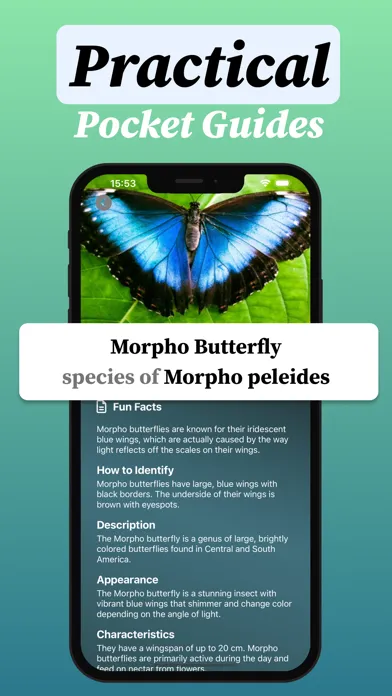 Bug identifier・Insect Scanner Ekran Görüntüleri