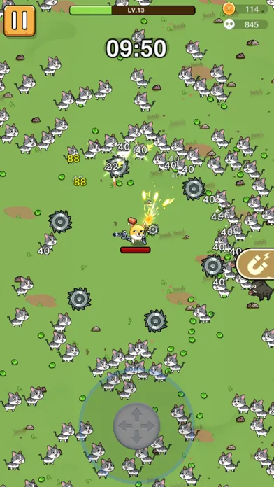 Doge Survivor.io Screenshots