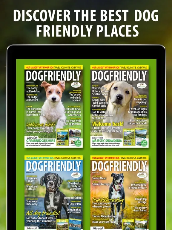 Dog Friendly Magazine iPad 應用截圖